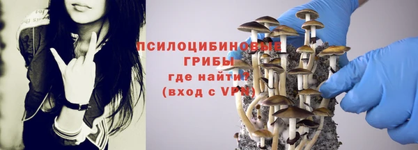 PSILOCYBIN Новодвинск