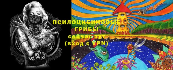 PSILOCYBIN Новодвинск