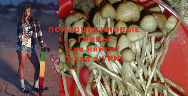 тгк Нефтекумск