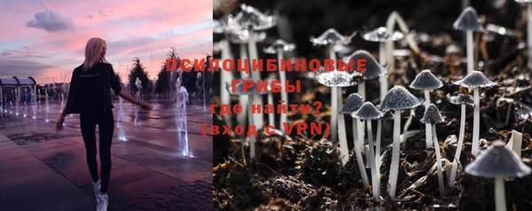a pvp Новозыбков