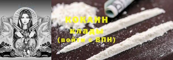 PSILOCYBIN Новодвинск
