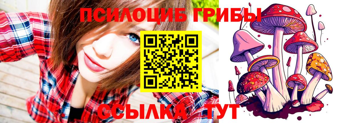 сколько стоит  Вход с VPN  Павловский Посад  Галлюциногенные грибы ЛСД 